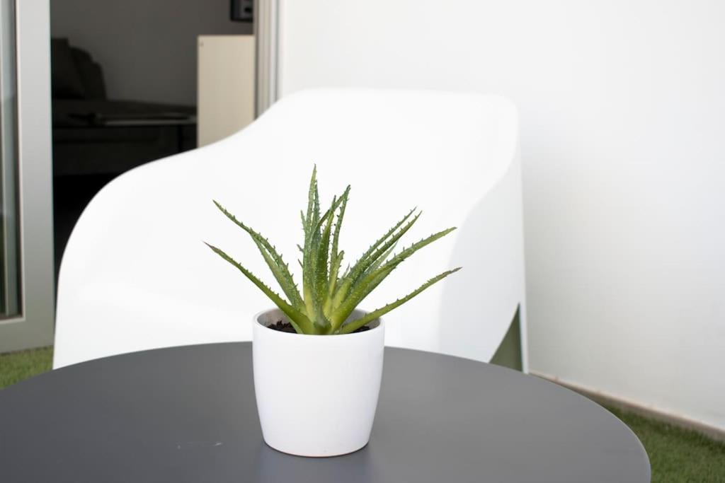 Glabur Stays - The Amazing 1 Bdr - Executive Apt Nicosia Center Free Parking & Wifi Eksteriør bilde
